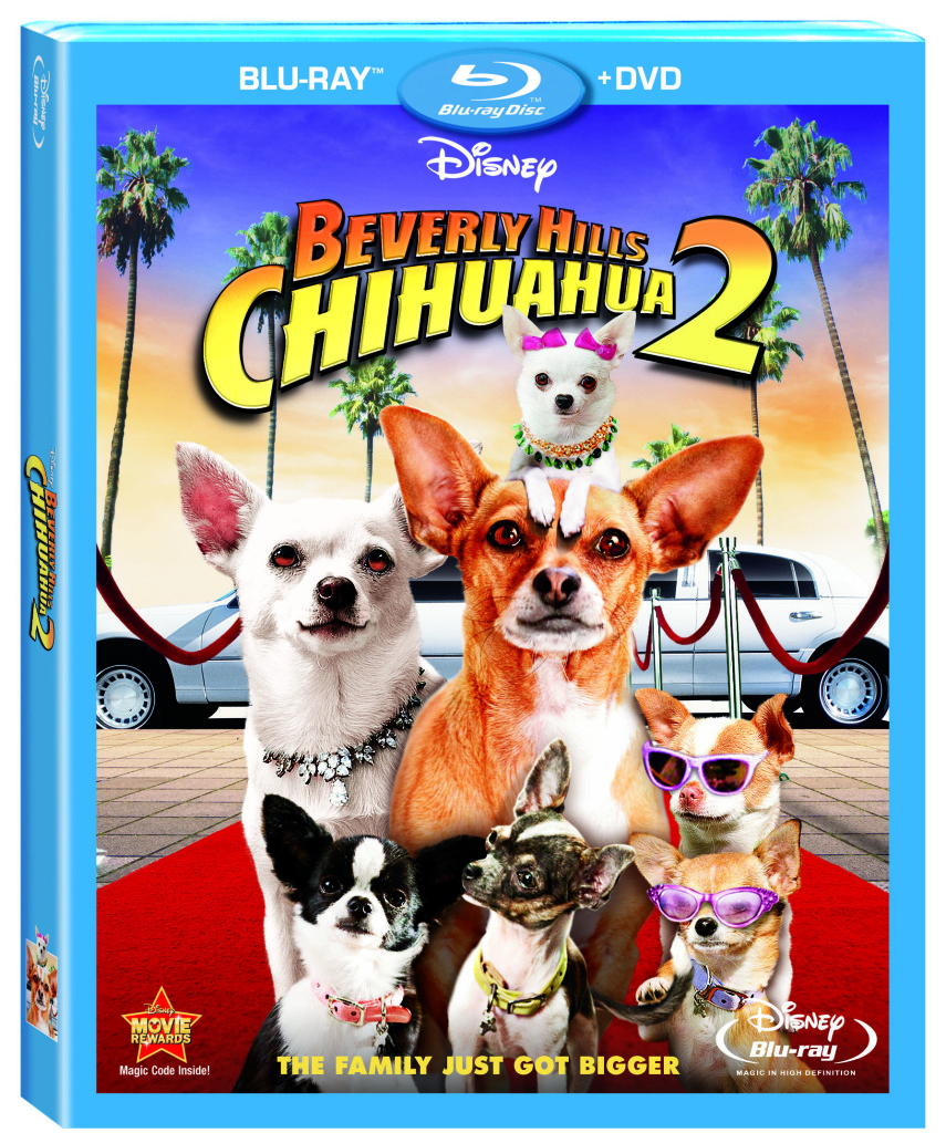 Bevery Hills Chihuahua 2 Blu-ray
