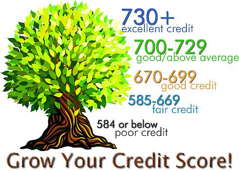 credit score tree chart