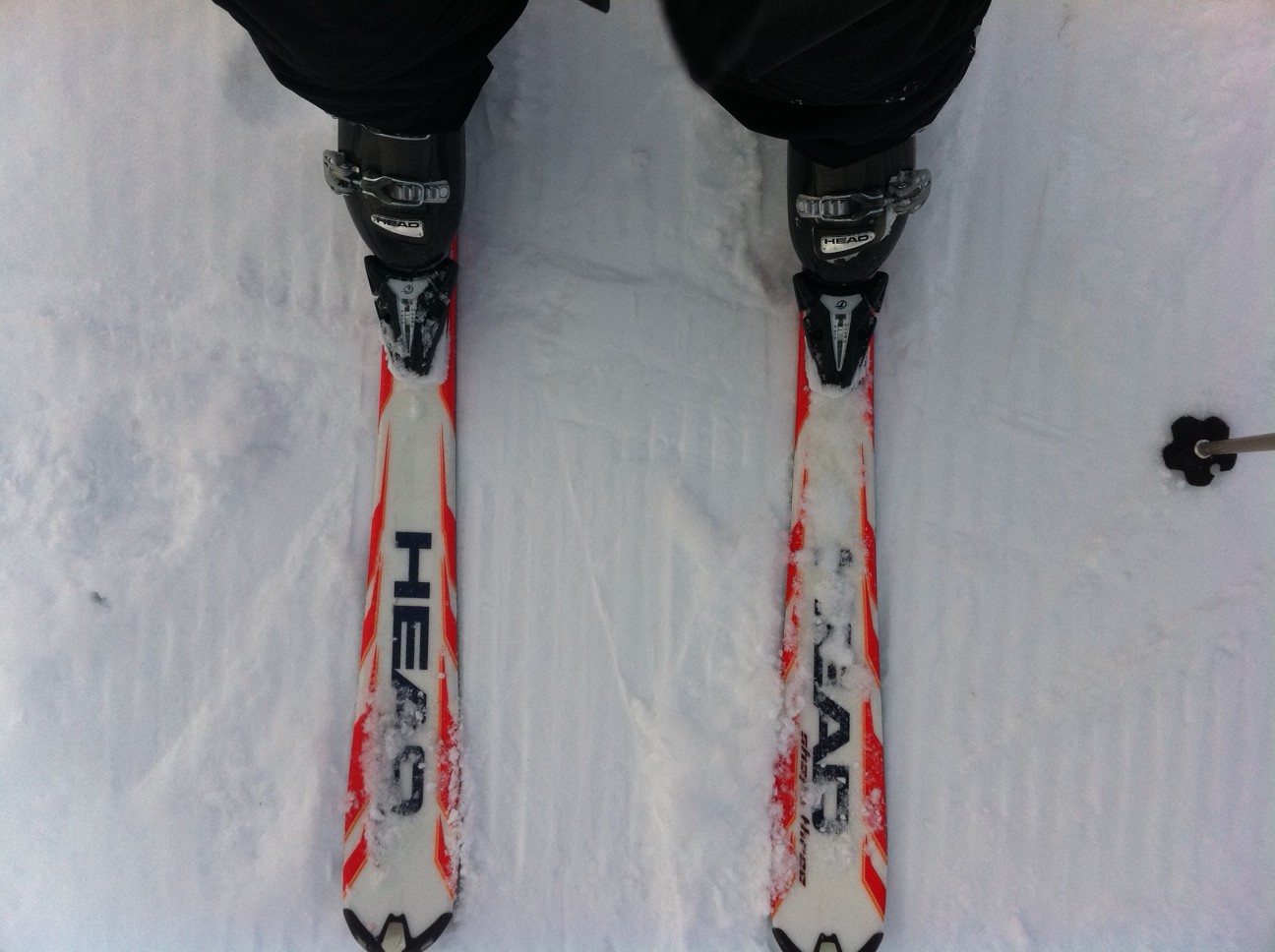 Beginner Skier