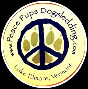 Peace Pups Dogsledding
