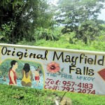 The Original Mayfield Falls