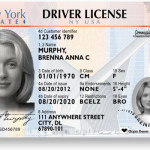 nys driver's license new look